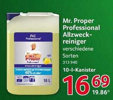 Mr. Proper Professional Allzweckreiniger verschiedene Sorten