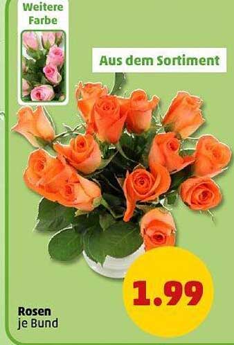 Rosen je Bund