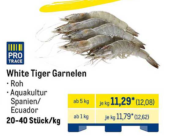 White Tiger Garnelen - Roh aus Aquakultur