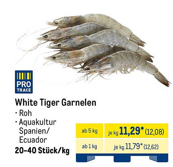 White Tiger Garnelen - Roh aus Aquakultur