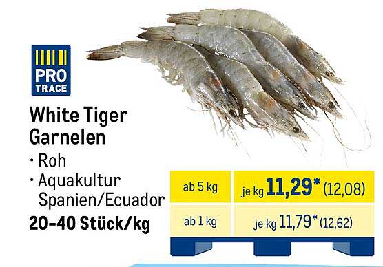 White Tiger Garnelen - Roh aus Aquakultur Spanien/Ecuador