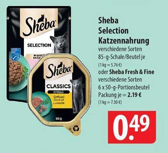 Schöne Sheba Im Angebot Fotos