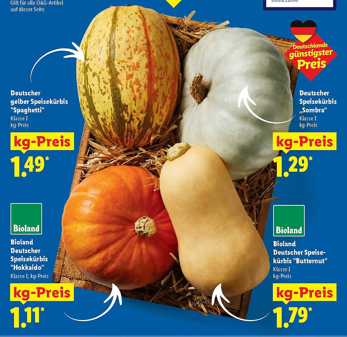 Deutscher Speisekürbis "Spaghetti", "Sombra", "Hokkaido" und "Butternut"