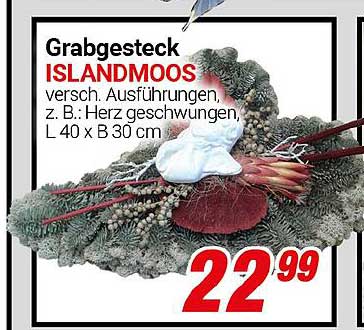 Grabgesteck ISLANDMOOS - versch. Ausführungen