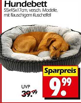 Hunde-Himmelbett: Flauschige Entspannung für Ihren besten Freund