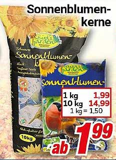 Sonnenblumenkerne