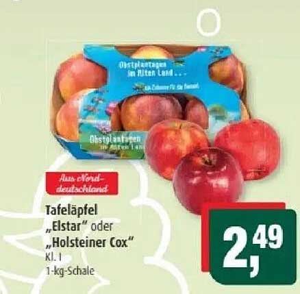 Tafeläpfel „Elstar“ oder „Holsteiner Cox“ - 1-kg-Schale
