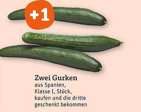 Zwei Gurken aus Spanien, Klasse I, Stück kaufen und die dritte geschenkt bekommen
