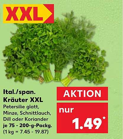 Ital./span. Kräuter XXL - Petersilie, Minze, Schnittlauch, Dill oder Koriander je 75 - 200-g-Pack