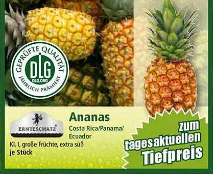 Ananas - Costa Rica/Panama/Ecuador, Kl. I, große Früchte, extra süß je Stück