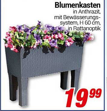 Blumenkasten in Anthrazit mit Bewässerungssystem, H 60 cm, in Rattanoptik