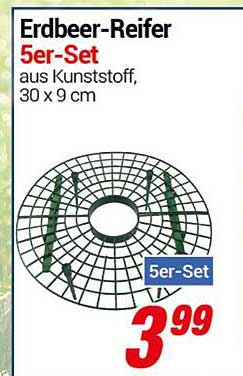 Erdbeer-Reifer 5er-Set