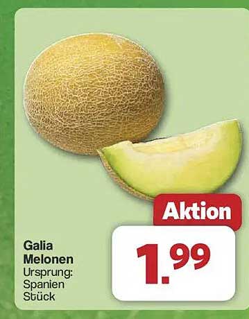 Galia Melonen - Ursprung: Spanien - Stück