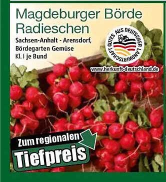 Magdeburger Börde Radieschen