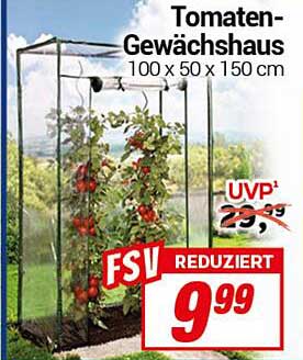 Tomaten-Gewächshaus 100 x 50 x 150 cm