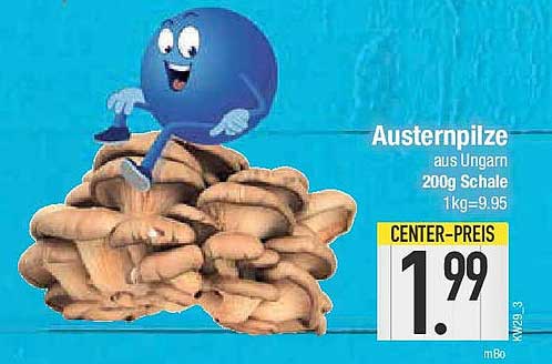 Austernpilze aus Ungarn 200g Schale