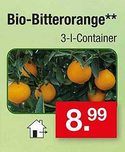 Bio-Bitterorange – 3-I-Container