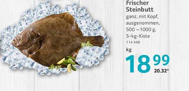 Frischer Steinbutt, ganz, mit Kopf, ausgenommen, 500 – 1000 g, 5-kg-Kiste
