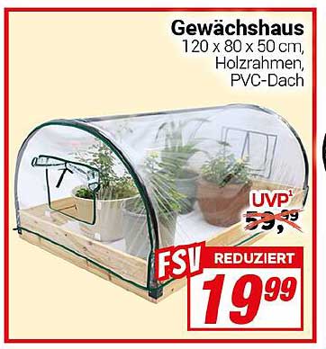 Gewächshaus 120 x 80 x 50 cm, Holzrahmen, PVC-Dach