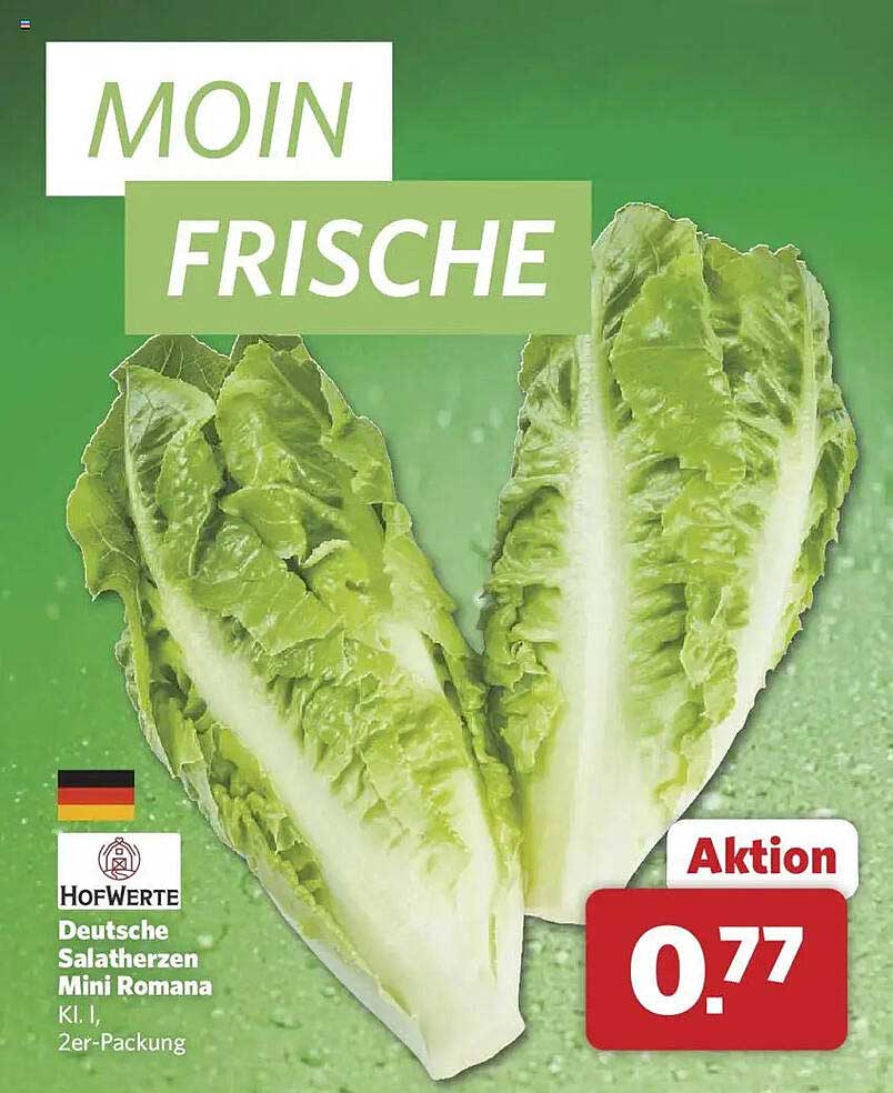 Hofwerte Deutsche Salatherzen Mini Romaine 2er-Packung