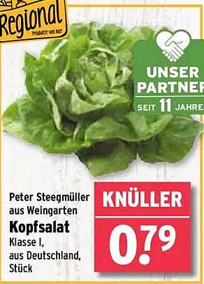 Kopfsalat Klasse I, aus Deutschland, Stück