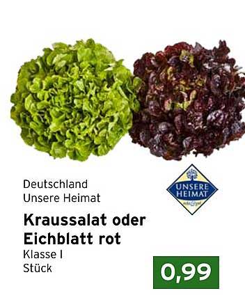 Kraussalat oder Eichblatt rot - Klasse I, Stück