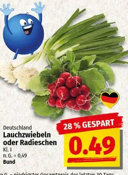 Lauchzwiebeln oder Radieschen Kl. I – 0,49 €