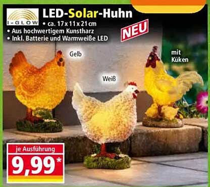 LED-Solar-Huhn - Neuheit bei Norma