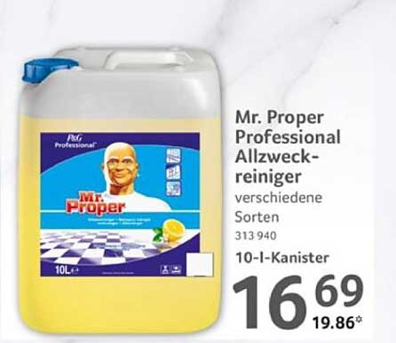 Mr. Proper Professional Allzweckreiniger 10-L-Kanister