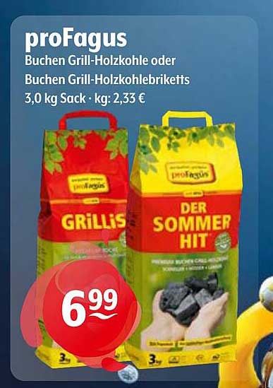proFagus Buchen Grill-Holzkohle oder Grill-Holzkohlebriketts 3,0 kg Sack