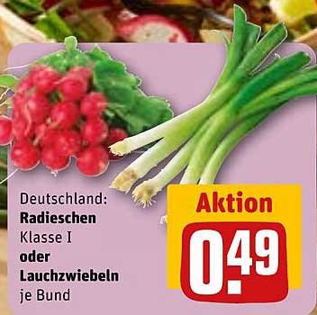 Radieschen Klasse I oder Lauchzwiebeln je Bund