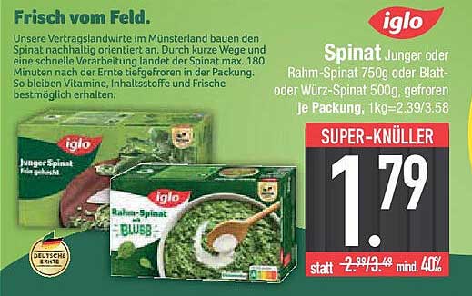 Spinat Junge oder Rahm-Spinat 750g oder Blatt- oder Würz-Spinat 500g, gefroren, je Packung