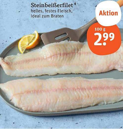 Steinbeißerfilet - Helles, festes Fleisch, ideal zum Braten