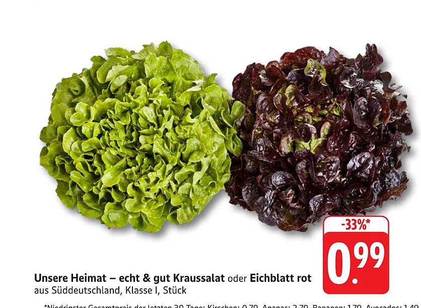 Unsere Heimat – echt & gut Kraussalat oder Eichblatt rot aus Süddeutschland, Klasse I, Stück