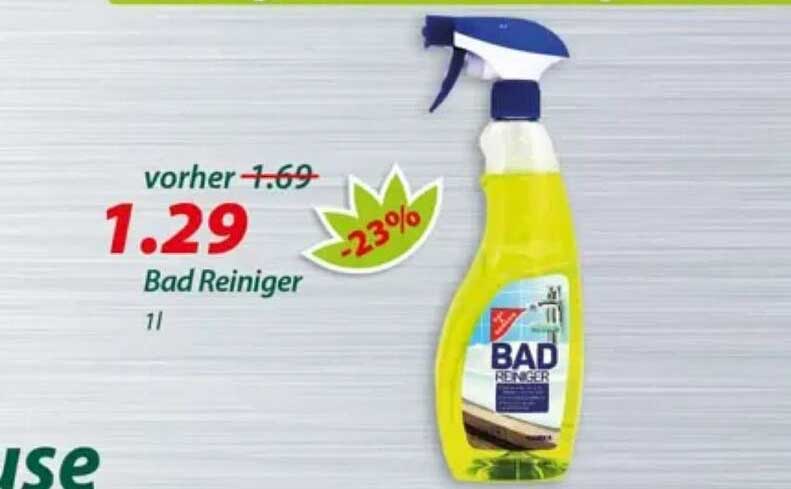 Bad Reiniger