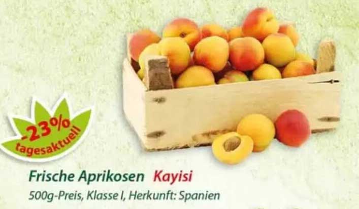 Frische Aprikosen Kayisi