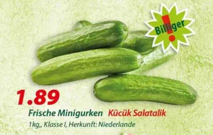 Frische Minigurken