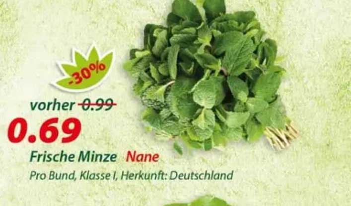 Frische Minze Nane