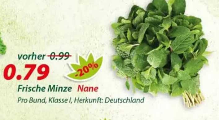 Frische Minze