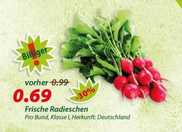 Frische Radieschen