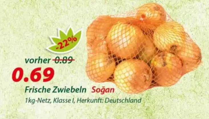 Frische Zwiebeln Soğan