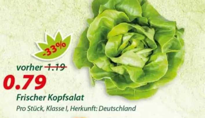 Frischer Kopfsalat