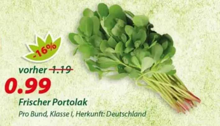 Frischer Portolak