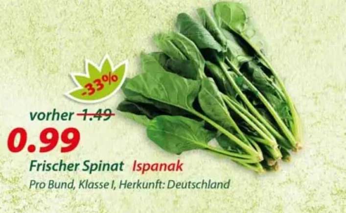 Frischer Spinat