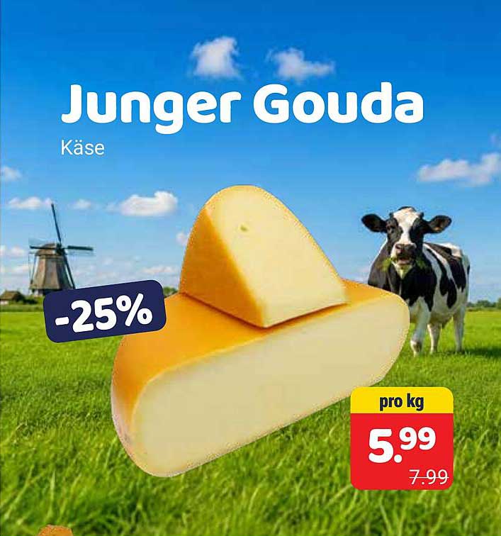 Junger Gouda