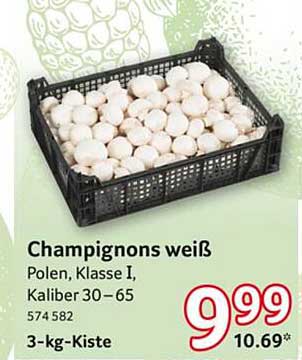 Champignons weiß - Polen, Klasse I, Kaliber 30-65