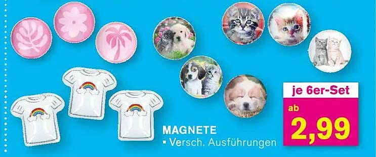 MAGNETE - Verschiedene Ausführungen