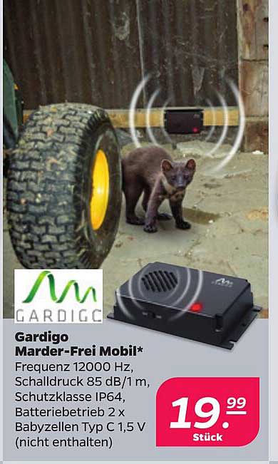 Schone Gardigo Marder Frei Mobil Bilder