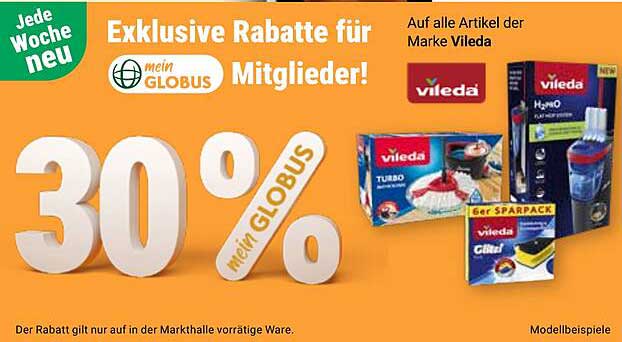 30% Rabatt auf alle Artikel der Marke Vileda