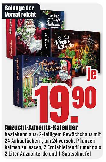 Anzucht-Advents-Kalender